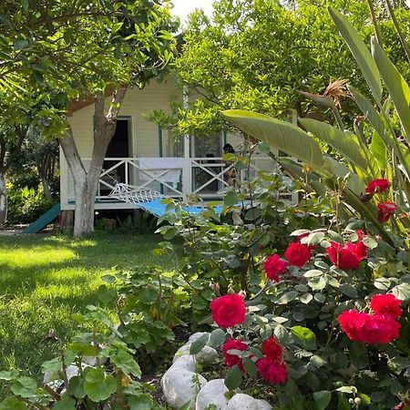 Bellerofon Beach Otel Çıralı エクステリア 写真