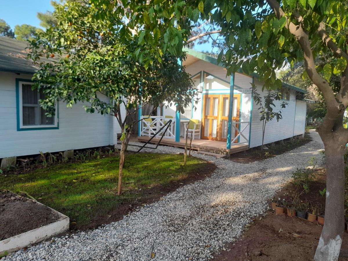Bellerofon Beach Otel Çıralı エクステリア 写真