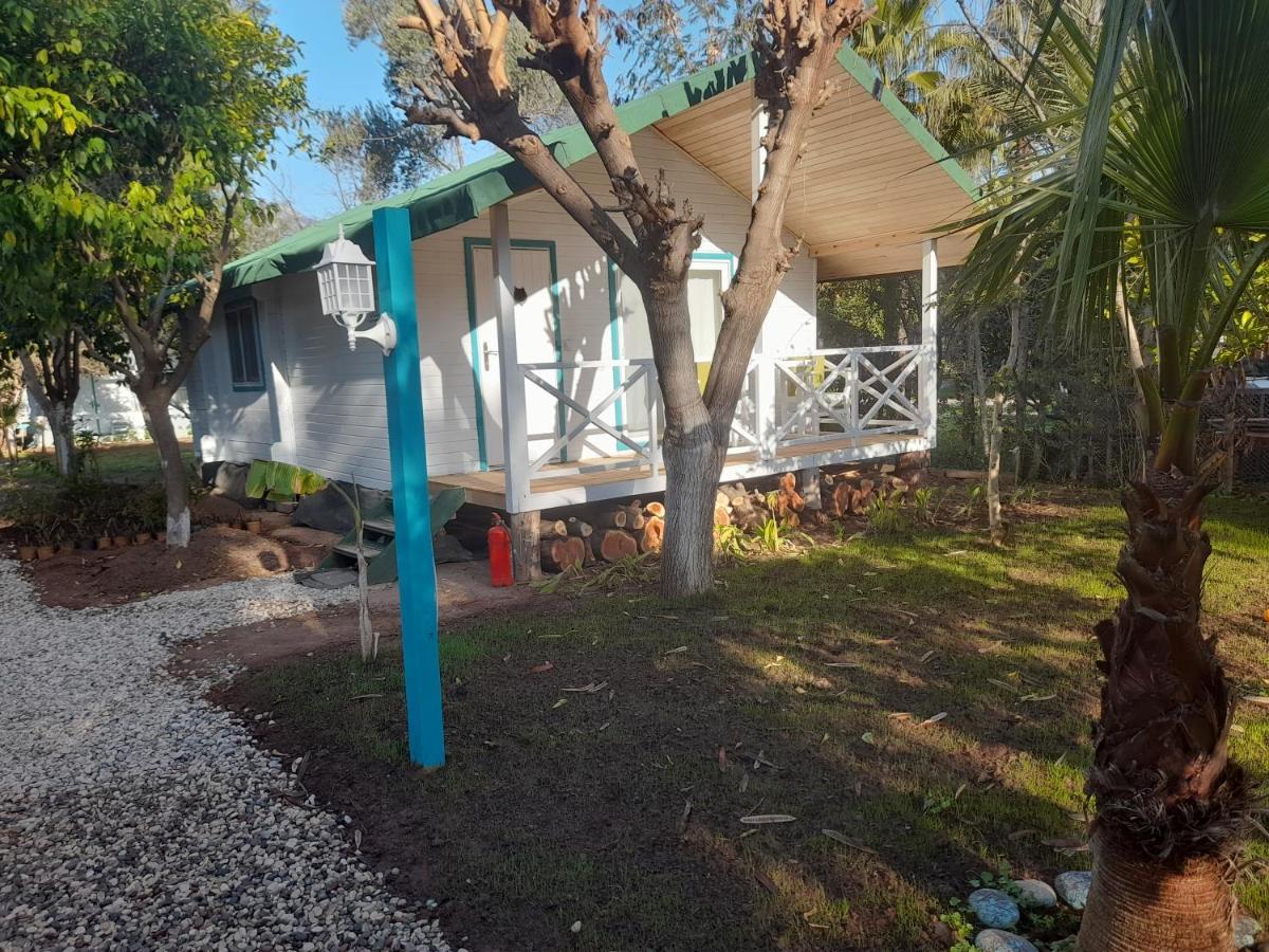 Bellerofon Beach Otel Çıralı エクステリア 写真