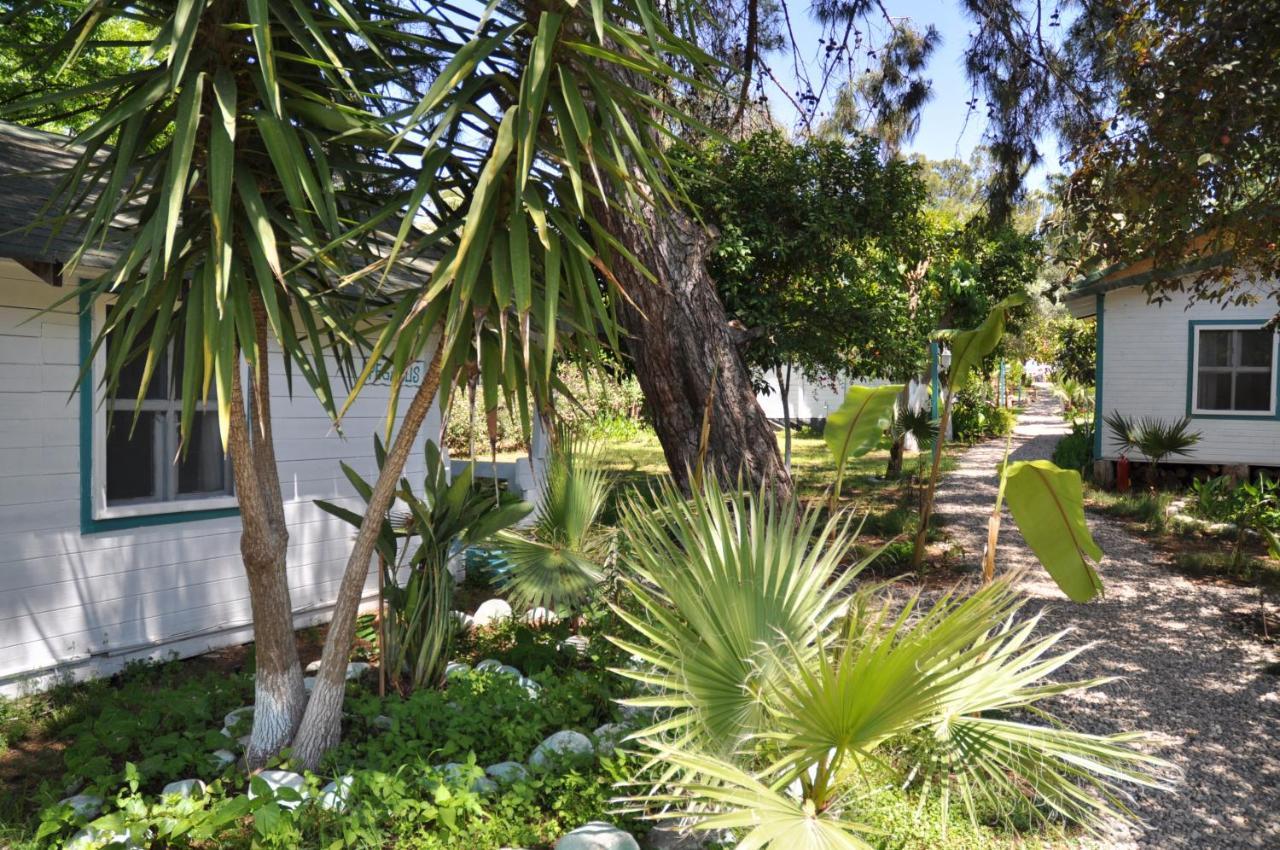 Bellerofon Beach Otel Çıralı エクステリア 写真