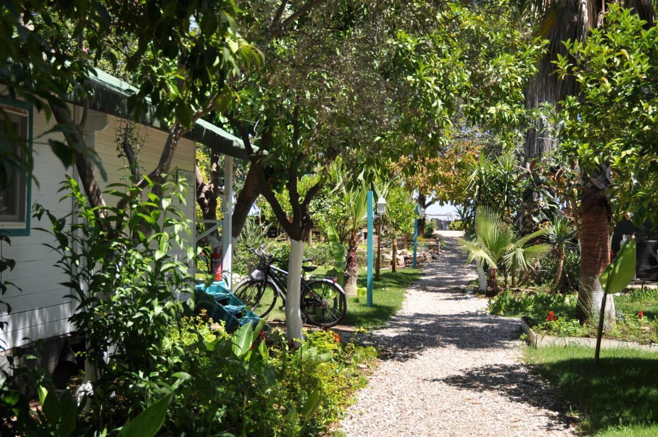 Bellerofon Beach Otel Çıralı エクステリア 写真
