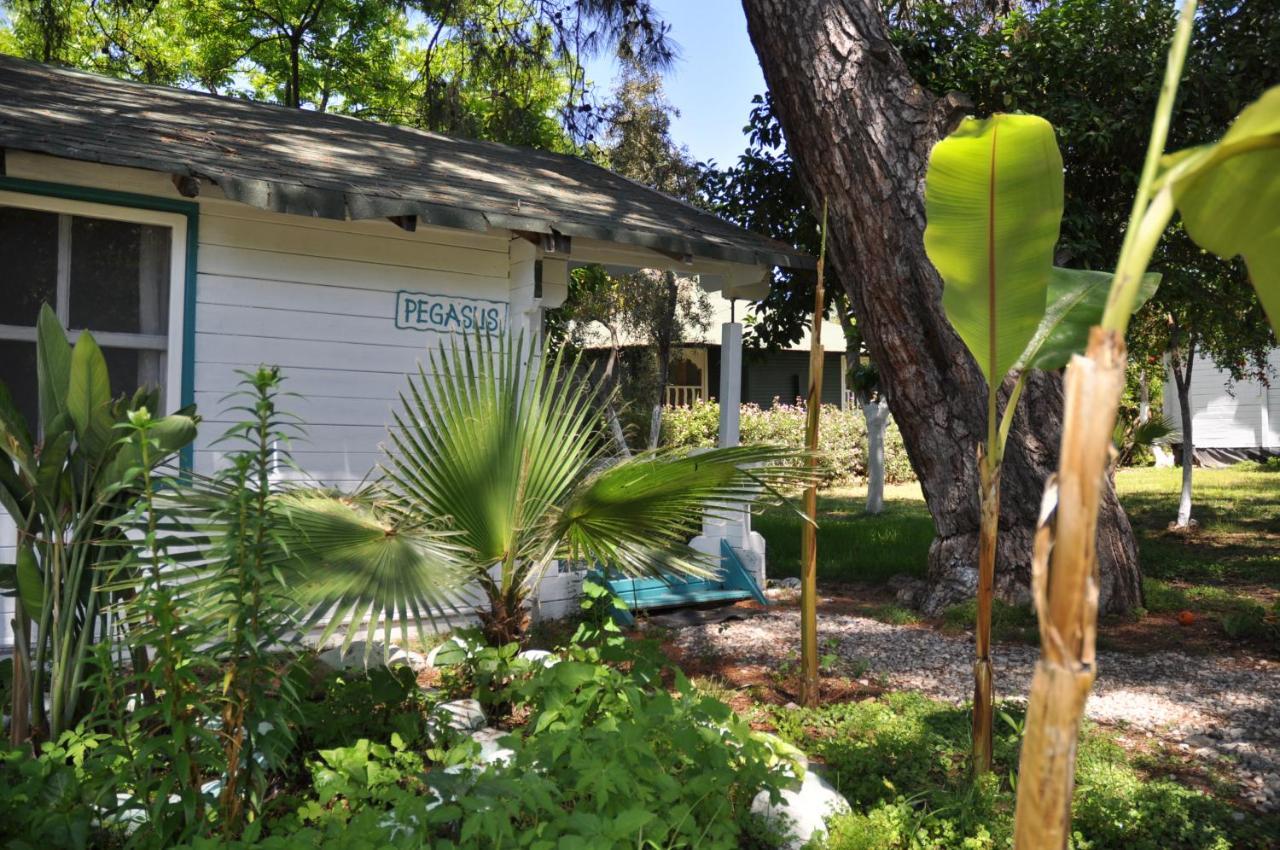 Bellerofon Beach Otel Çıralı エクステリア 写真