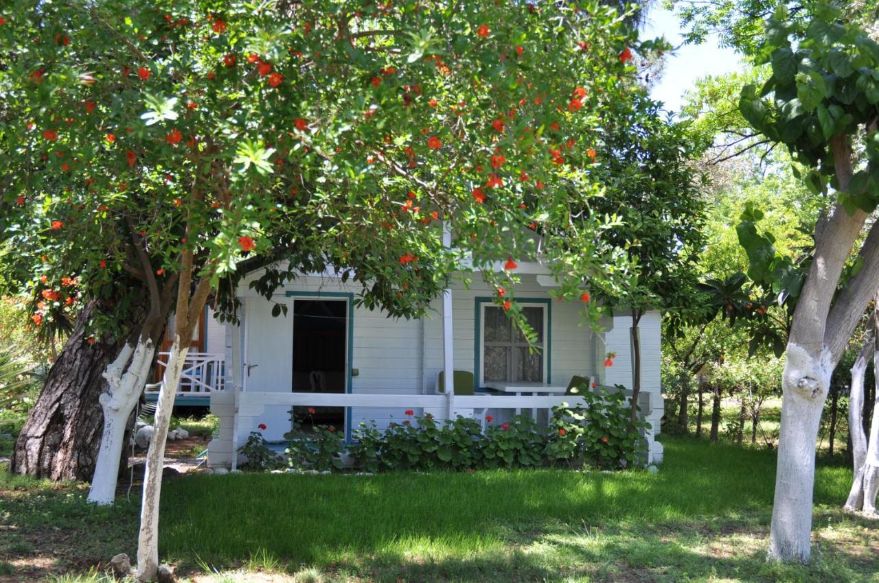 Bellerofon Beach Otel Çıralı エクステリア 写真