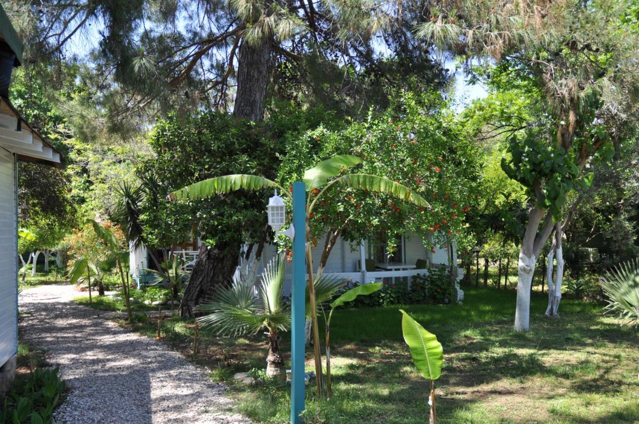 Bellerofon Beach Otel Çıralı エクステリア 写真