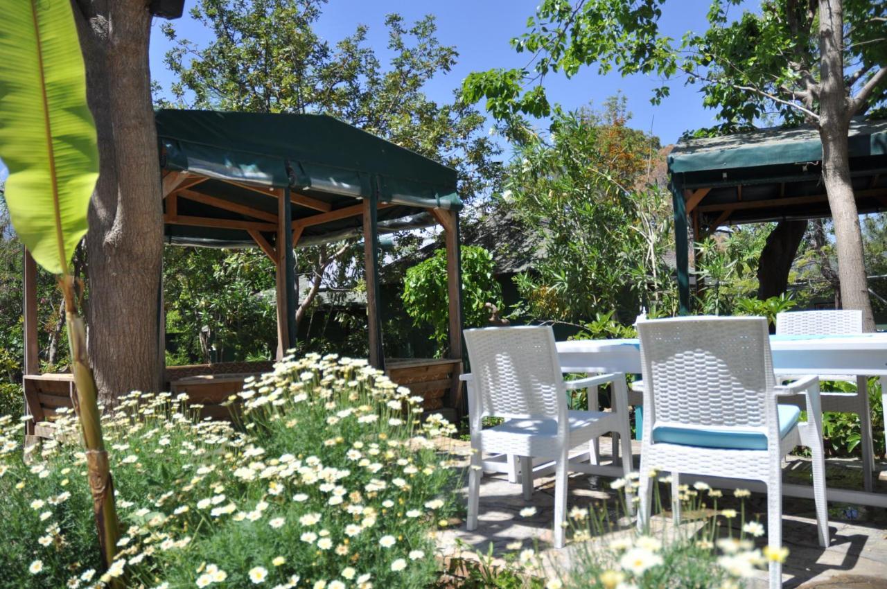 Bellerofon Beach Otel Çıralı エクステリア 写真