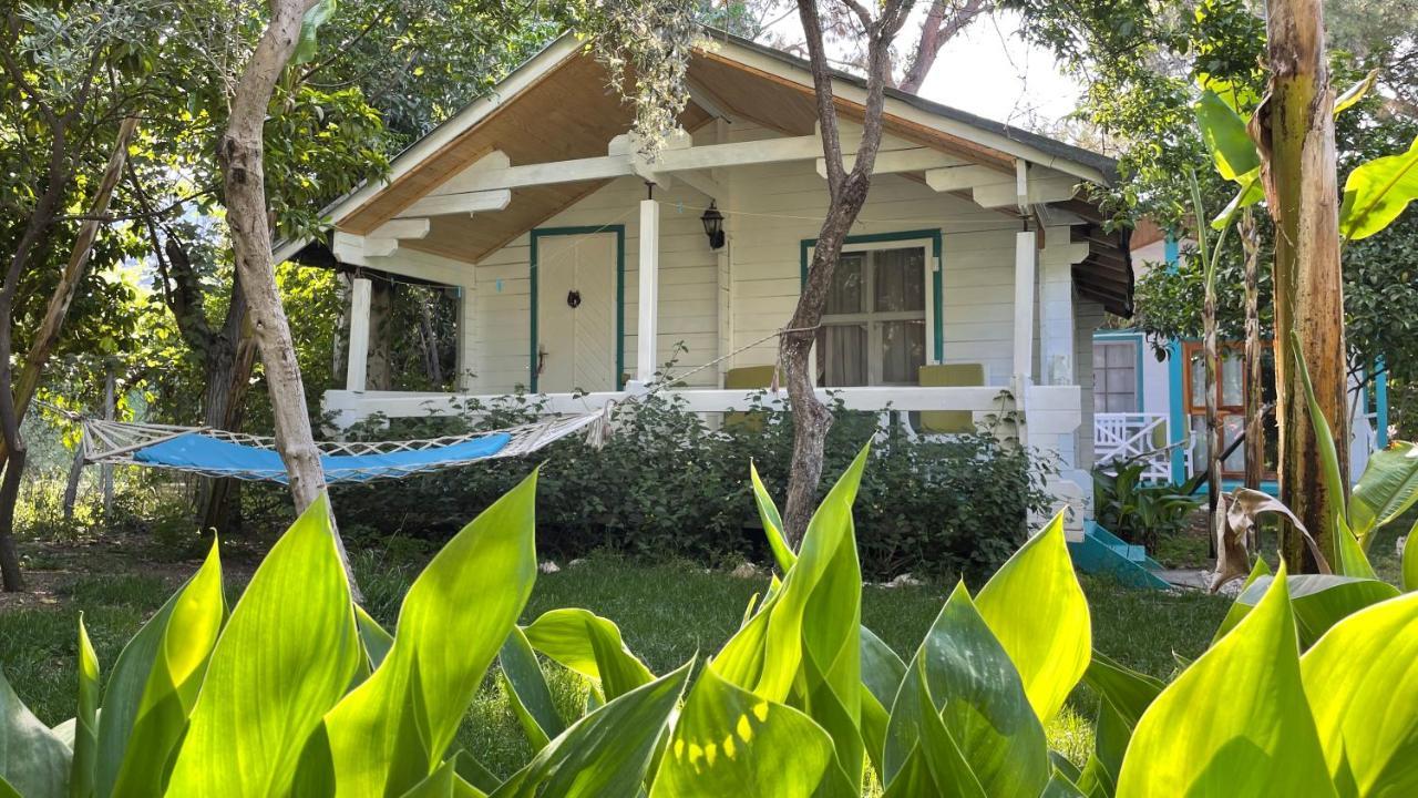 Bellerofon Beach Otel Çıralı エクステリア 写真