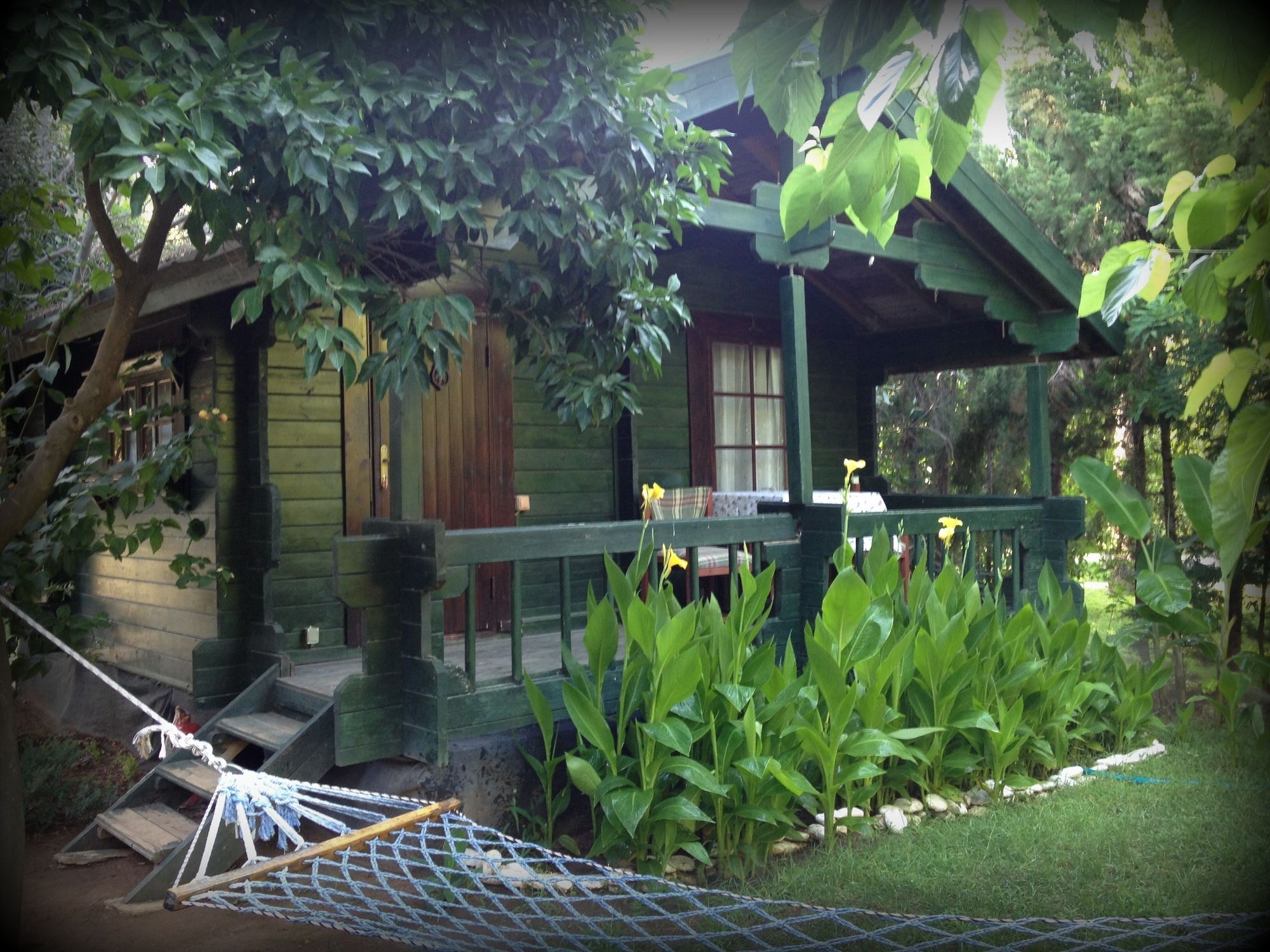 Bellerofon Beach Otel Çıralı エクステリア 写真